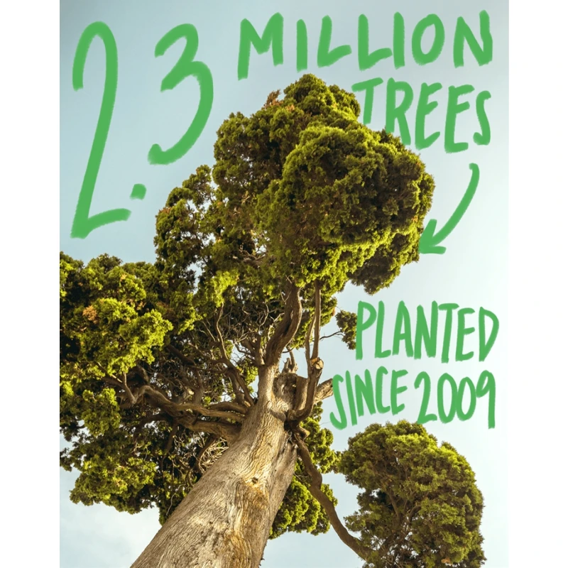 品木宣言全球植樹主視覺。 品木宣言全球植樹主視覺。