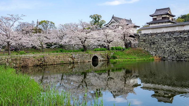 Photo/福岡県観光情報 Photo/福岡県観光情報