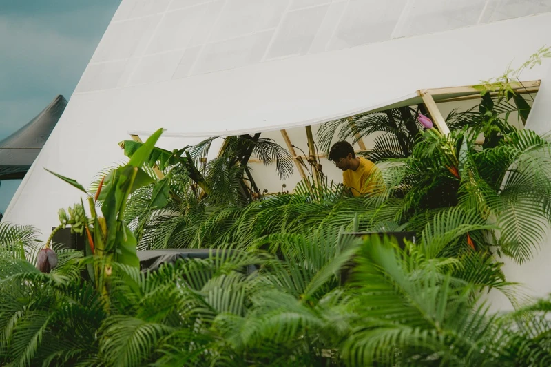 Organik Festival 主舞台