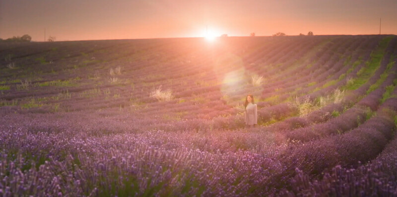 洪海仁的幻象薰衣草田，象徵”我在等你”、”幸福到來”的寓意