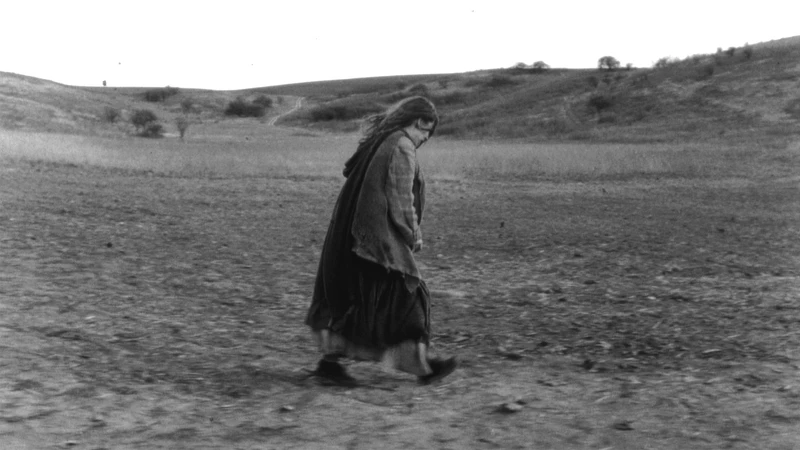 貝拉・塔爾的《都靈之馬》（The Turin Horse）是其職涯最後一部長片作品，曾榮獲柏林影展評審團銀熊獎與影評人費比西獎