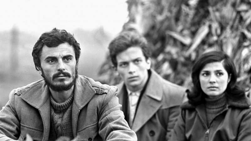 《導演流浪指南》（The Upthrown Stone）揭開極端政權之下基層人民群像