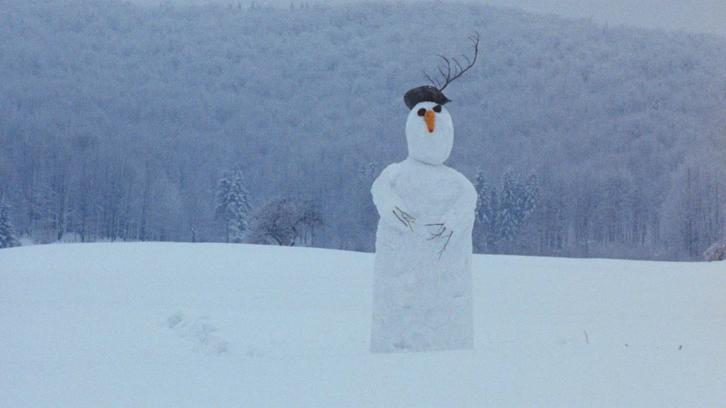 短片《白色奇想曲》（Capriccio）