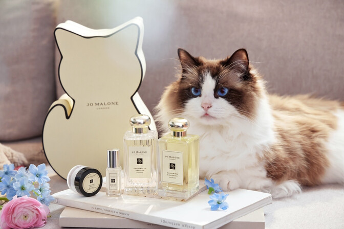 溫暖萌寵現身Jo Malone London 為媽咪的香氛禮物添增童趣與驚喜