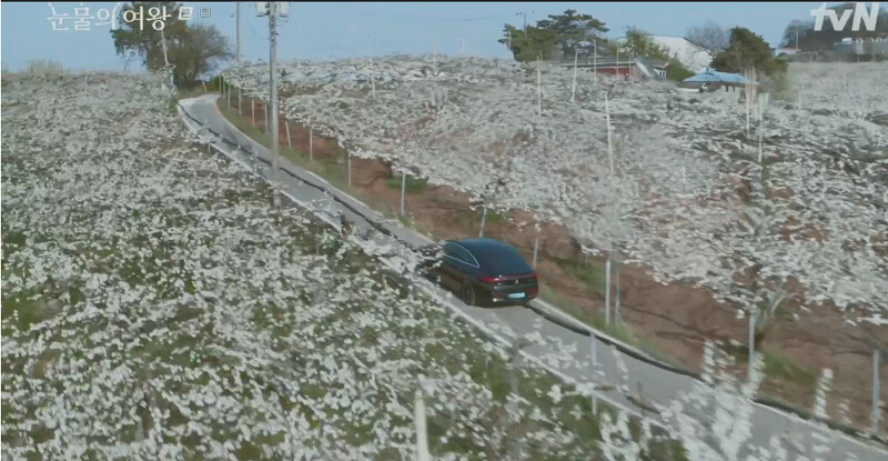 Photo/翻攝自tvN。