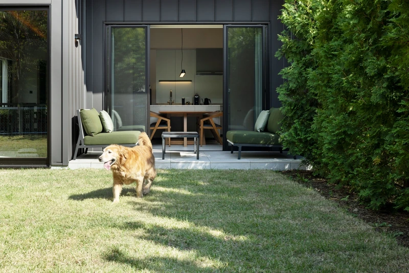 也能帶著愛犬一同入住。 也能帶著愛犬一同入住。