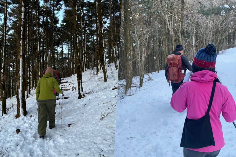 健走行程將在清晨出發,跟著領隊漫步樹林中。 健走行程將在清晨出發,跟著領隊漫步樹林中。