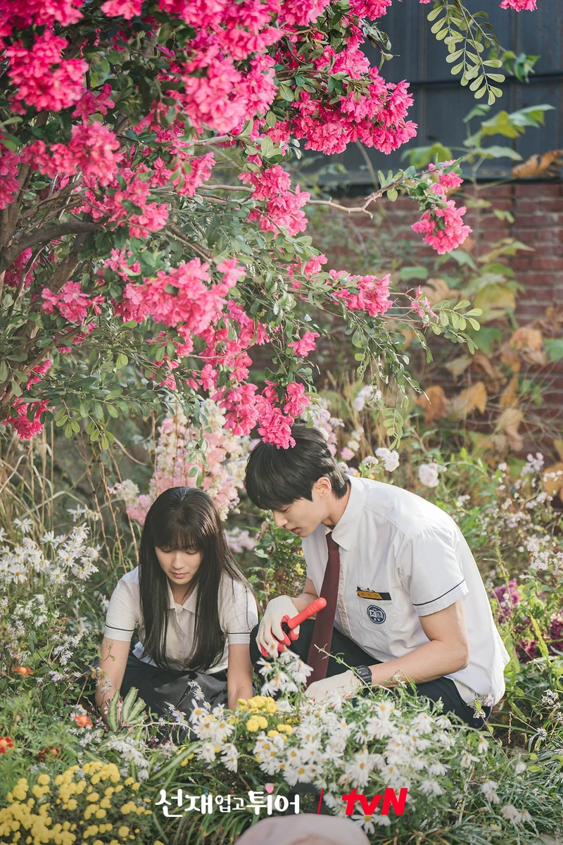 任率為以防萬一,帶善宰埋時空膠囊,交代2023年才能打開 任率為以防萬一,帶善宰埋時空膠囊,交代2023年才能打開