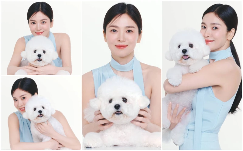 宋慧喬與愛犬Ruby 宋慧喬與愛犬Ruby