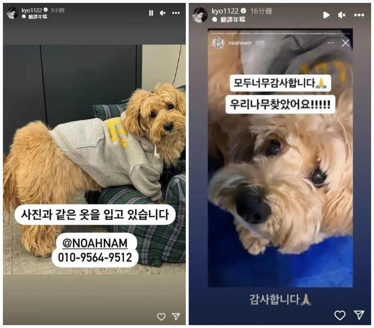 宋慧喬貼文協尋朋友愛犬 宋慧喬貼文協尋朋友愛犬