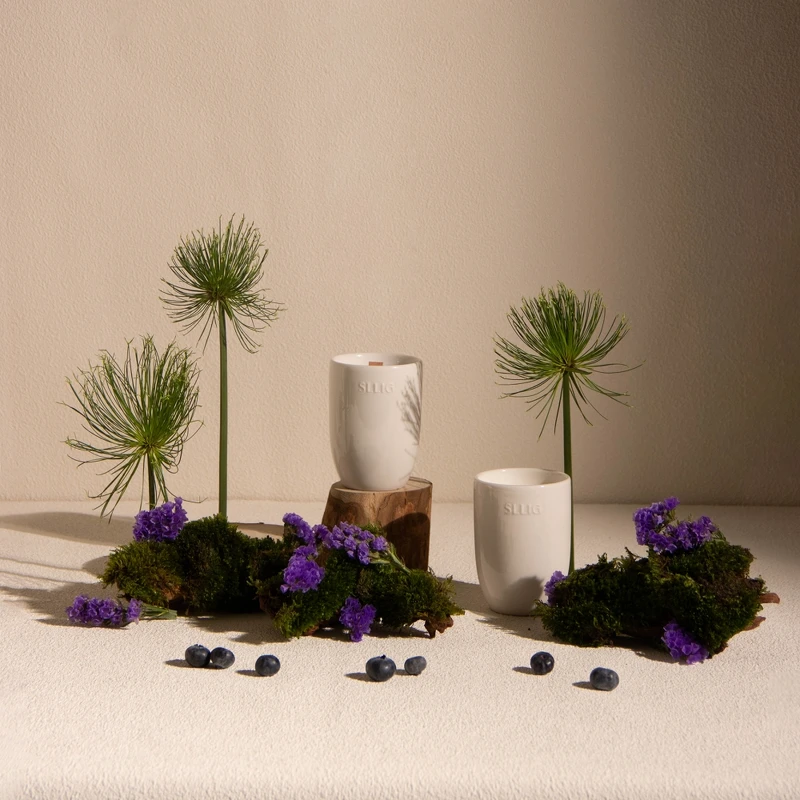 SLLIG居家職人陶瓷香氛大豆蠟燭(野林WILD GROVE)140g,NT1,980 SLLIG居家職人陶瓷香氛大豆蠟燭(野林WILD GROVE)140g,NT1,980