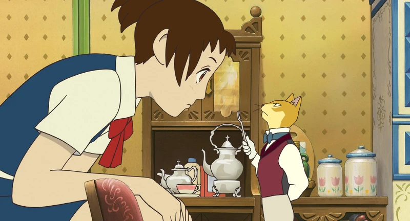 小春覺得自己很蠢居然找貓解決問題,但也沒其他方法了 小春覺得自己很蠢居然找貓解決問題,但也沒其他方法了