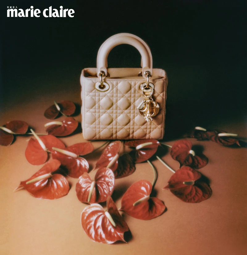 玫瑰裸色藤格紋與艾非爾鐵塔墜飾小羊皮小型 Lady Dior My ABCDior 提包，Dior。