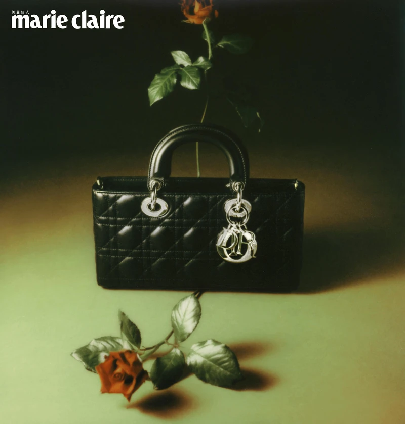  黑色 Cannage 藤格紋小型 Lady D-Joy，Dior。