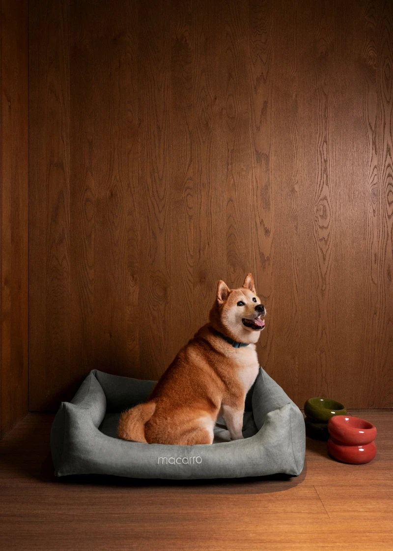 大安 EPISODE 歡迎賓客攜帶毛小孩入住。