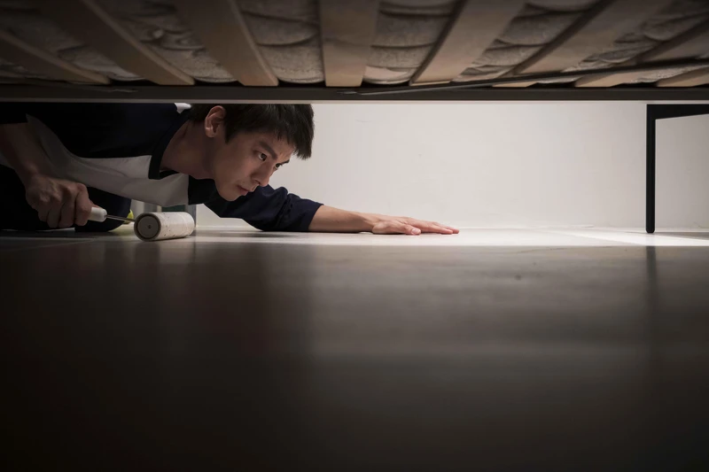 《愛的噩夢》林柏宏