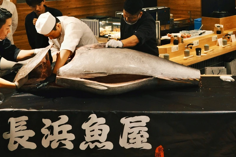 開幕當日松井先生展現了精湛的鮪魚分切技藝。