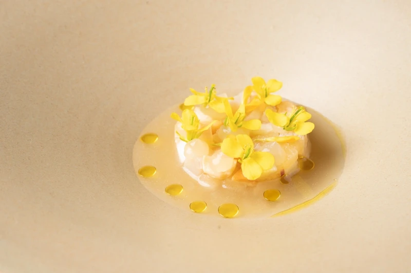 海鮮前菜「干貝水生魚片 Scallop 'Mul-hoi'」。 海鮮前菜「干貝水生魚片 Scallop 'Mul-hoi'」。