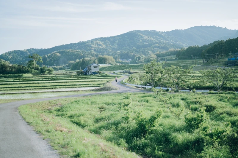 位在千葉房總半島南部—鴨川市,是個被低估的旅遊目的地。 位在千葉房總半島南部—鴨川市,是個被低估的旅遊目的地。