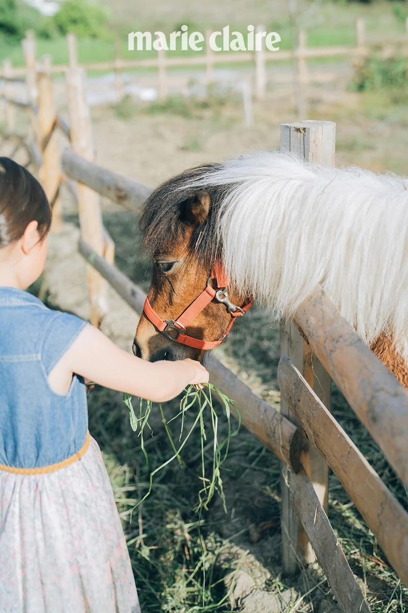 園區內有農家圈養的小動物互動接觸。 園區內有農家圈養的小動物互動接觸。