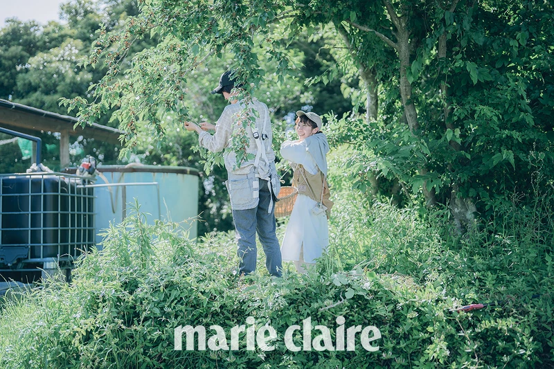 「苗目」就像是一個自足的農莊。 「苗目」就像是一個自足的農莊。