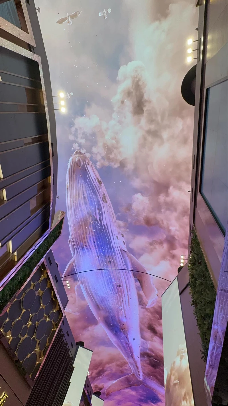 極光道 Aurora Hall開箱直擊