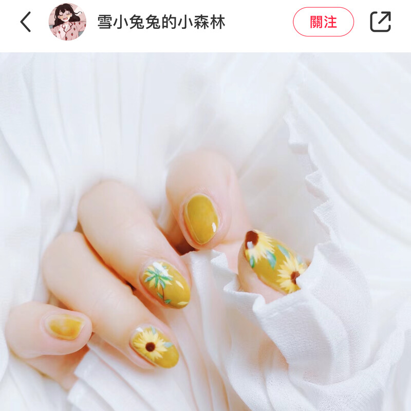 Photo/小紅書@雪小兔兔的小森林