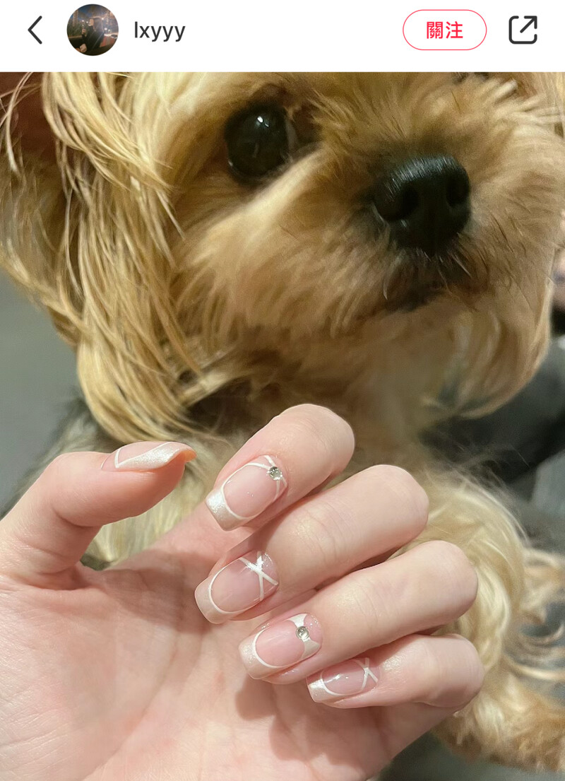 Photo/小紅書@lxyyy