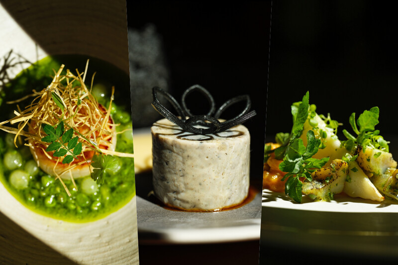 本季就以夏季食材發揮,菜色中有大量的夏季蔬菜,像是茄子、竹筍、番茄等等,甚至將台灣人喜愛的消暑食材—「仙草」也放進菜色中。 本季就以夏季食材發揮,菜色中有大量的夏季蔬菜,像是茄子、竹筍、番茄等等,甚至將台灣人喜愛的消暑食材—「仙草」也放進菜色中。