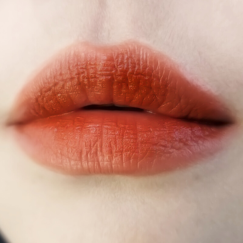 雅詩蘭黛耀眼出色細管唇膏#106熱戀橘棕唇部試色圖。