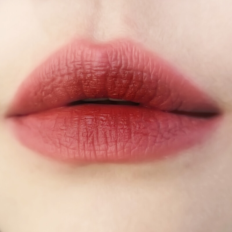 雅詩蘭黛耀眼出色細管唇膏#110焦點野玫唇部試色圖。