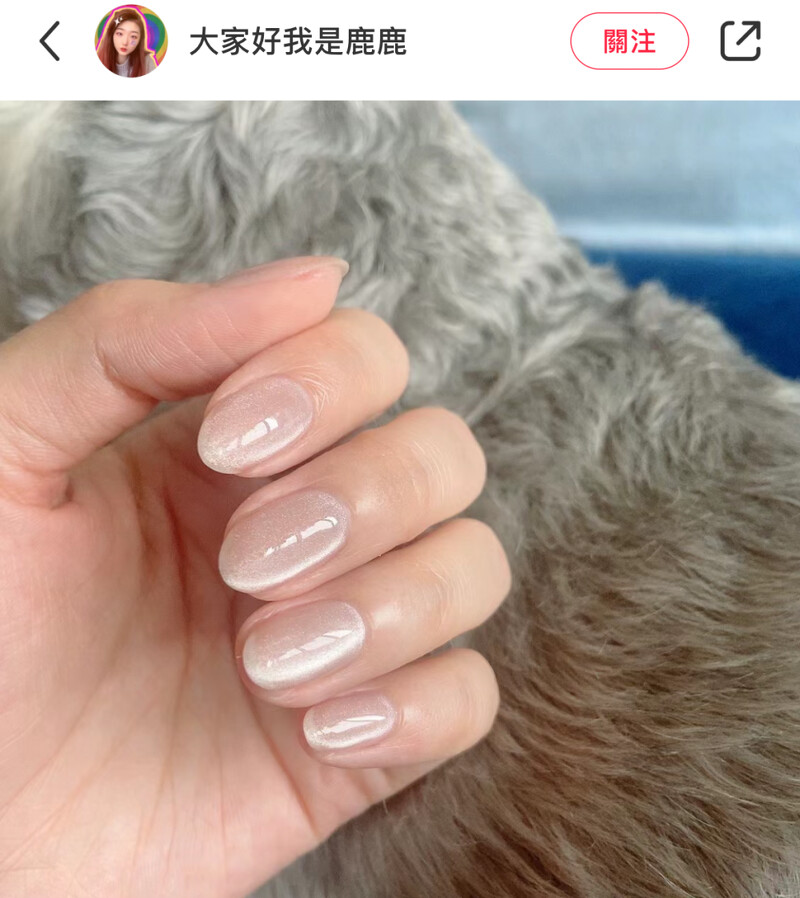 Photo/小紅書@大家好我是鹿鹿 Photo/小紅書@大家好我是鹿鹿