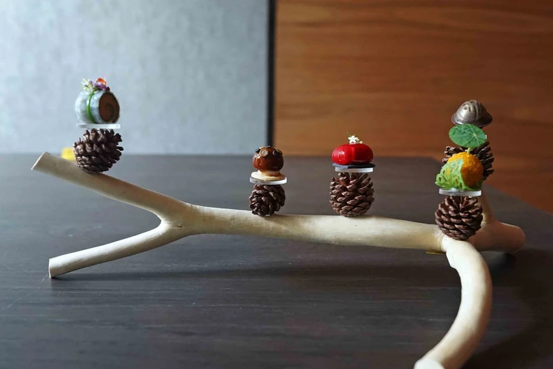 谷關的樹枝以多重分叉的形態成為最天然的器皿。