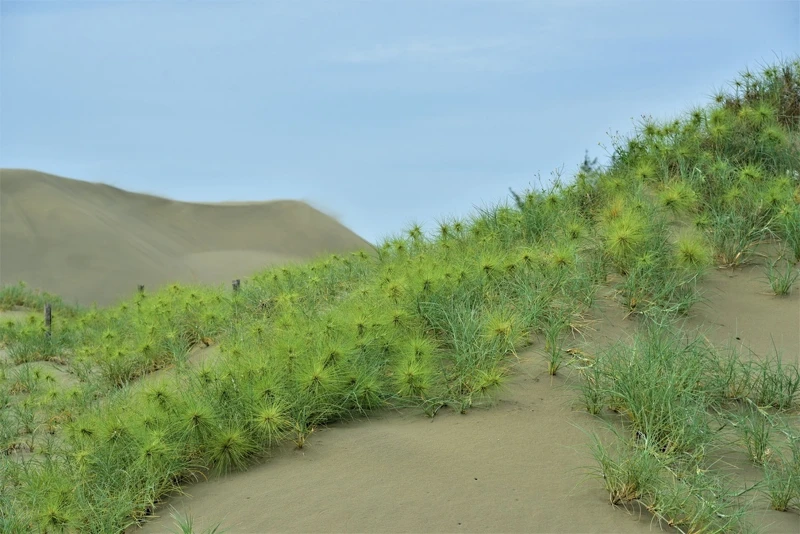 超級適合拍時尚大片的場景。 超級適合拍時尚大片的場景。