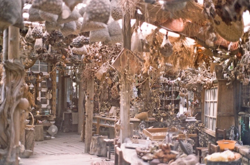 簡直再現了宮崎駿電影的場景。 簡直再現了宮崎駿電影的場景。