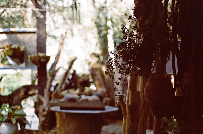 私人經營的千畦種子博物館為預約制。 私人經營的千畦種子博物館為預約制。