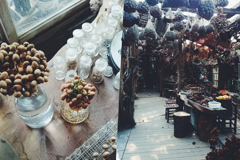 隨手一拍都是美好即景。 隨手一拍都是美好即景。