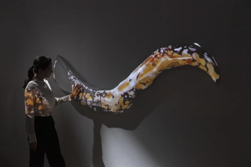 藝術家劉佳玉作品《靈光鎏影》。