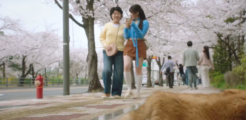 解除變身詛咒或重返青春，不再困擾李微進，享受當下的生活，任貓咪從眼前溜走