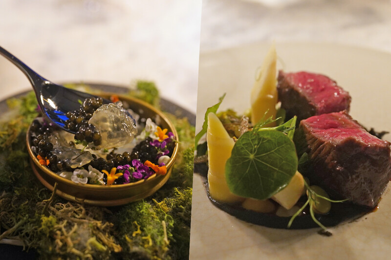 晚上提供主廚設計的法式料理。 晚上提供主廚設計的法式料理。