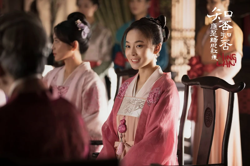 《知否》盛家五小姐「如蘭」是張佳寧的經典角色。