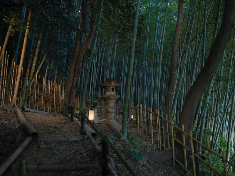 酒店的花園和竹林透過工匠巧手修復。 酒店的花園和竹林透過工匠巧手修復。