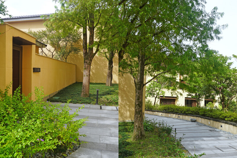 使用落羽松造景在 villa 園區中。