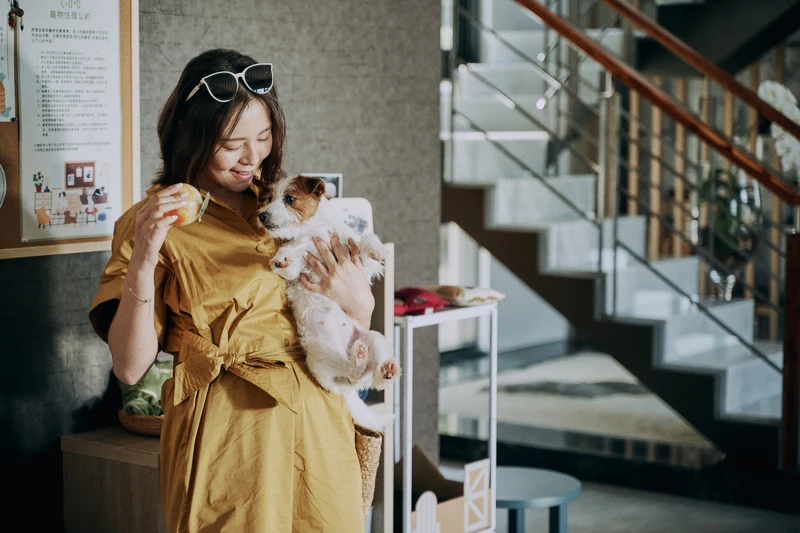 《都市懼集》劉品言開心帶著愛犬入住民宿 《都市懼集》劉品言開心帶著愛犬入住民宿