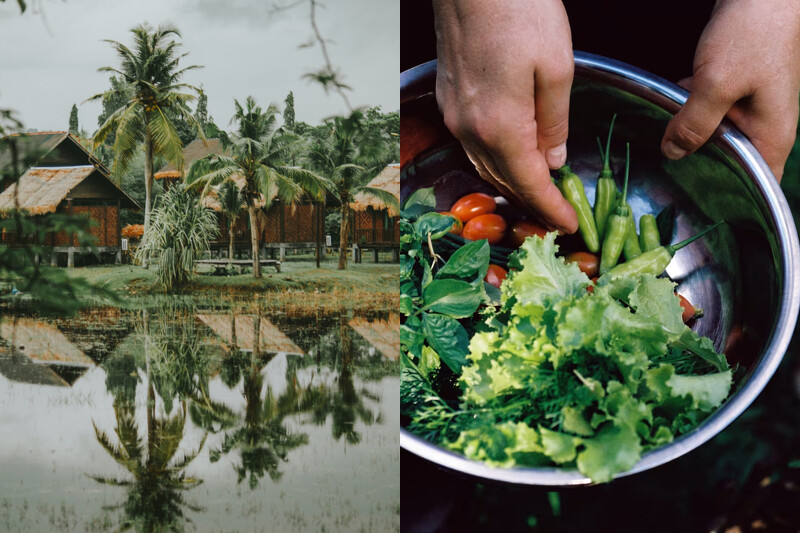 峇峇娘惹美食探索。 峇峇娘惹美食探索。