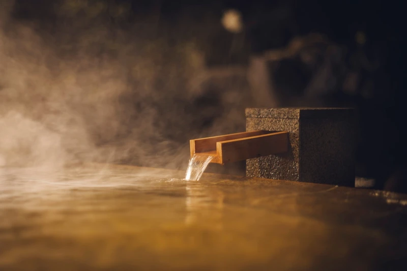 「界 奧飛驒」的泉質為鈉鈣碳酸氫鹽氯化物泉。其功效有緩解肌肉和關節慢性疼痛、割傷、畏寒、皮膚乾燥、憂鬱狀態、恢復疲勞、促進健康等。  「界 奧飛驒」的泉質為鈉鈣碳酸氫鹽氯化物泉。其功效有緩解肌肉和關節慢性疼痛、割傷、畏寒、皮膚乾燥、憂鬱狀態、恢復疲勞、促進健康等。