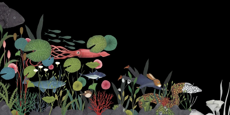 金繼 Kintsugi/大塊文化 © 2023 Issa Watanabe / Libros del Zorro Rojo 金繼 Kintsugi/大塊文化 © 2023 Issa Watanabe / Libros del Zorro Rojo