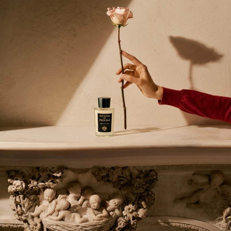 Acqua di Parma曦光玫瑰淡香精形象圖。 Acqua di Parma曦光玫瑰淡香精形象圖。