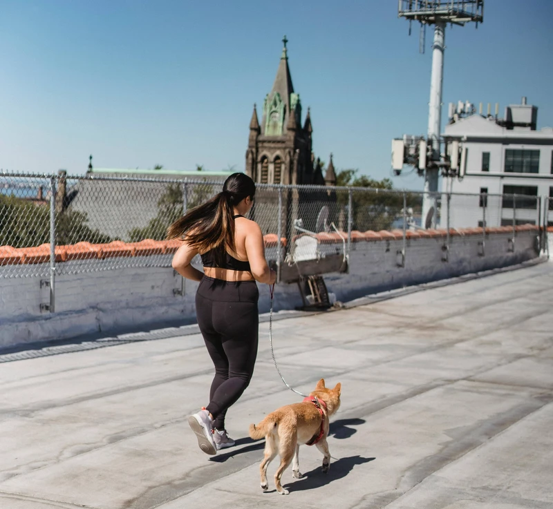 Photo/pexels.com Photo/pexels.com