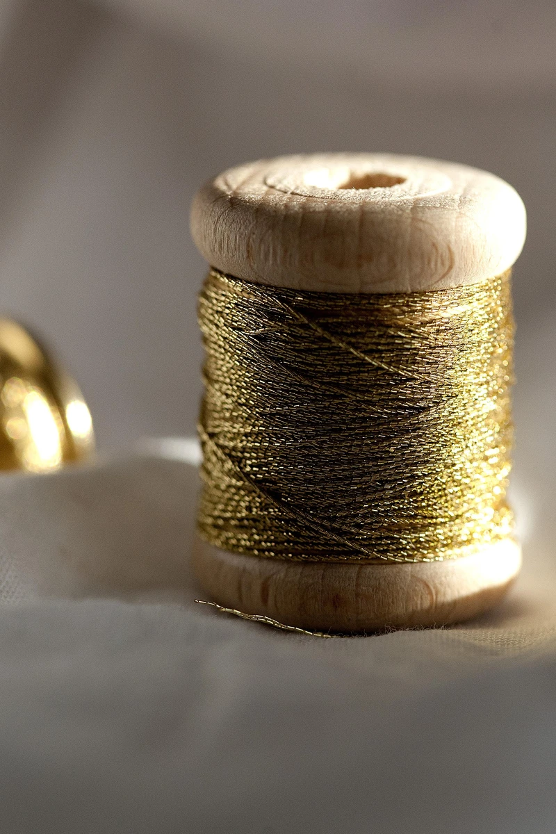 靈感圖 Fil or © Sophie Carre